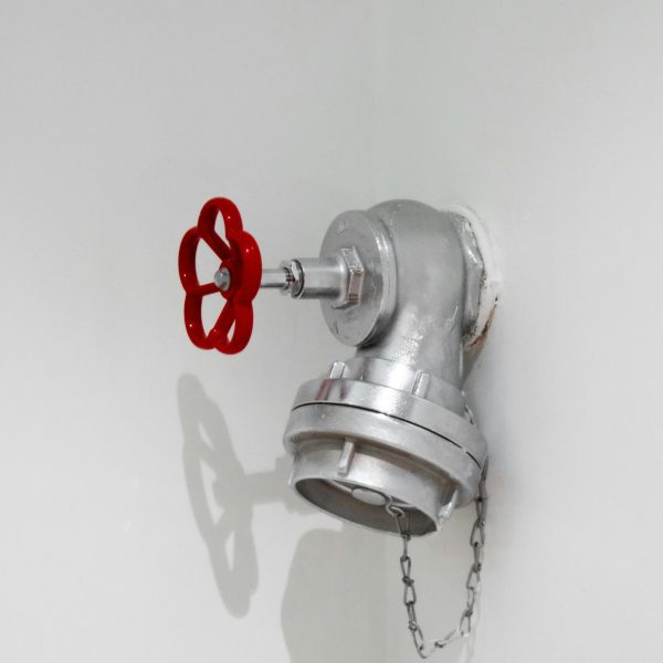 pexels-alper-tunga-danyildiz-25433489-26063240